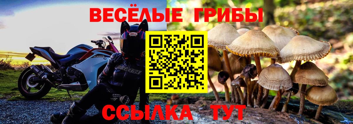 Галлюциногенные грибы мицелий Похвистнево