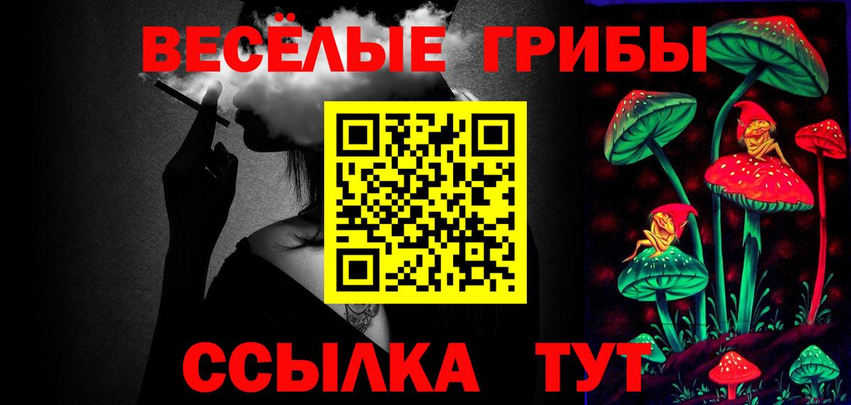 Похвистнево  купить наркотик  Вход с VPN  Галлюциногенные грибы мицелий 